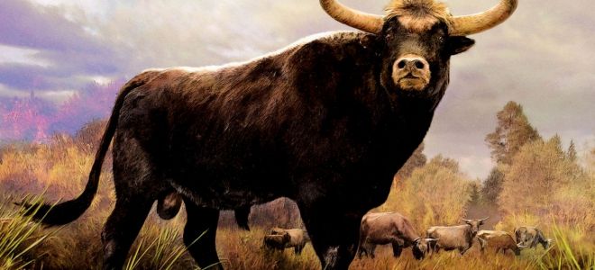 Что значит Чертог Тура по дате рождения