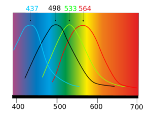 диаграмма световых волн