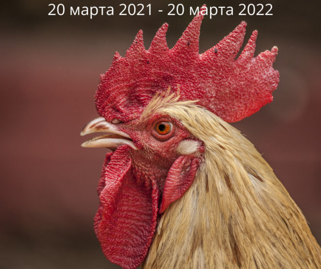 Славянский Новый Год 2022