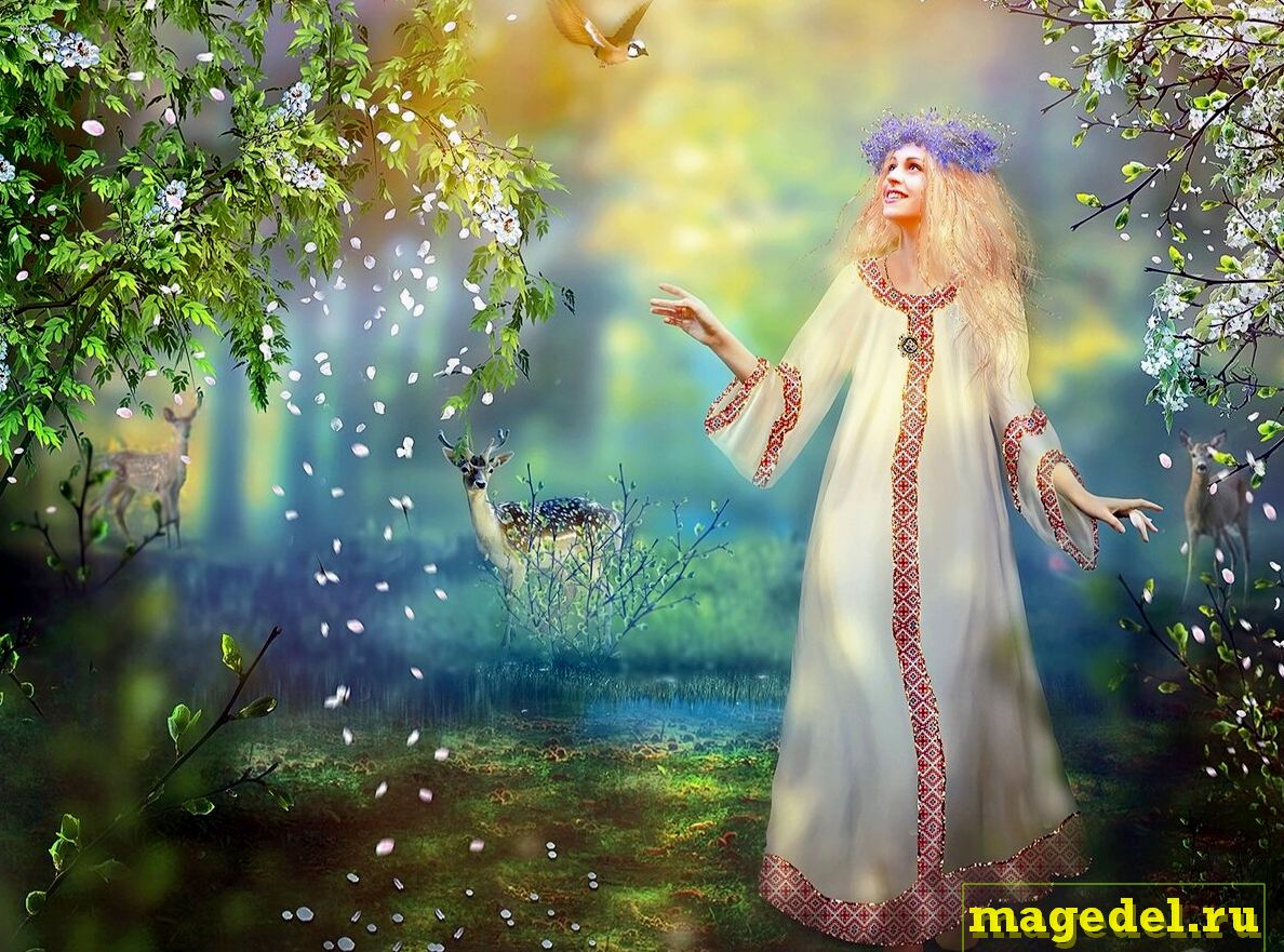 Что значит Чертог Девы по дате рождения