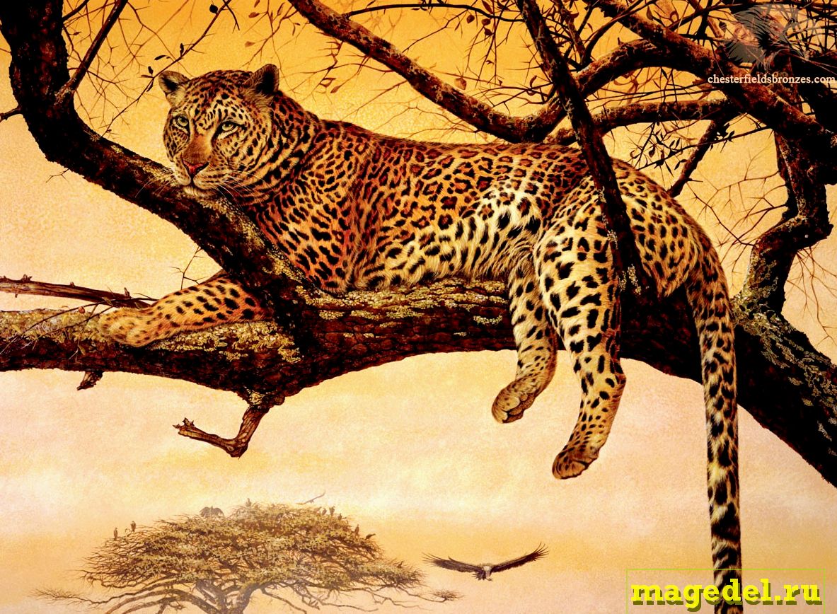 Что значит Чертог Раса по дате рождения