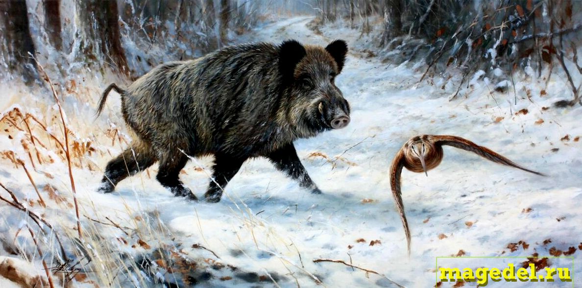 Что значит Чертог Вепря по дате рождения