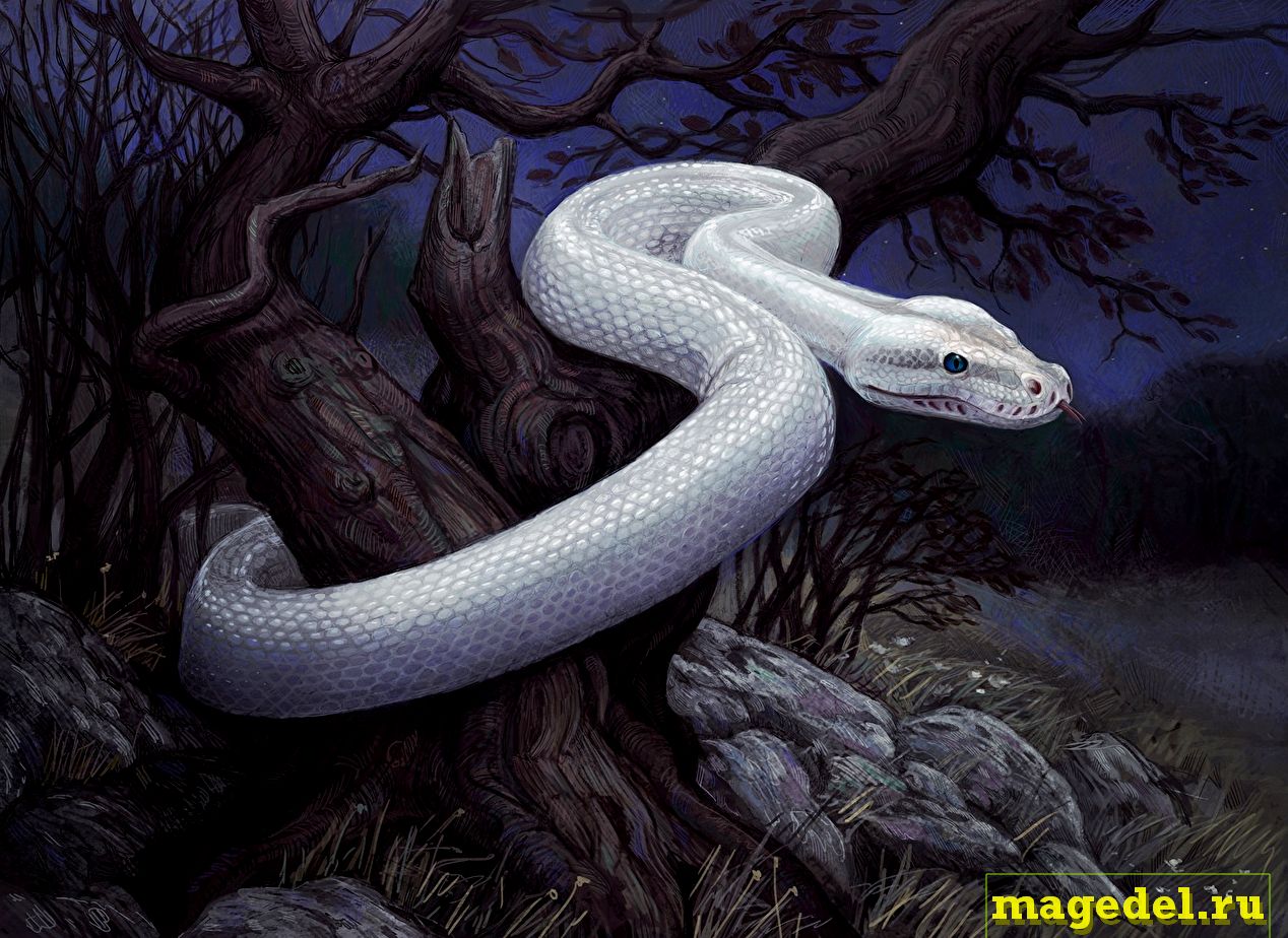 Что значит Чертог Змея по дате рождения